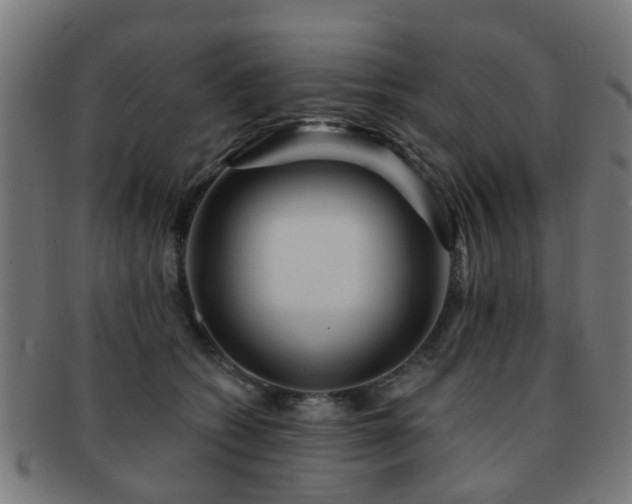 X0000091890562200709051345