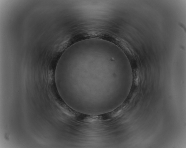X0000091890563200709051345