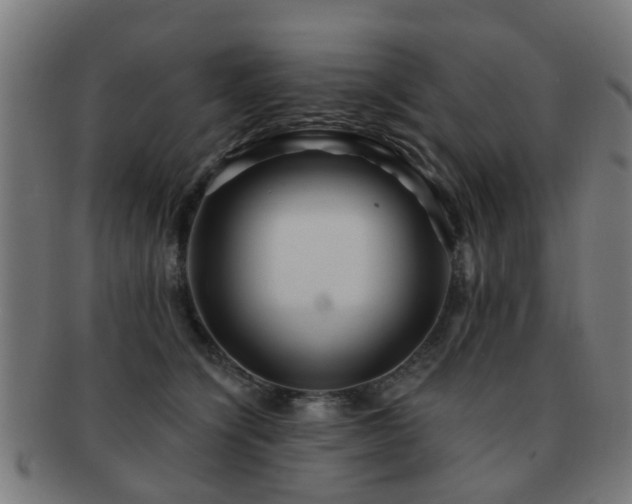 X0000091890564200709051345