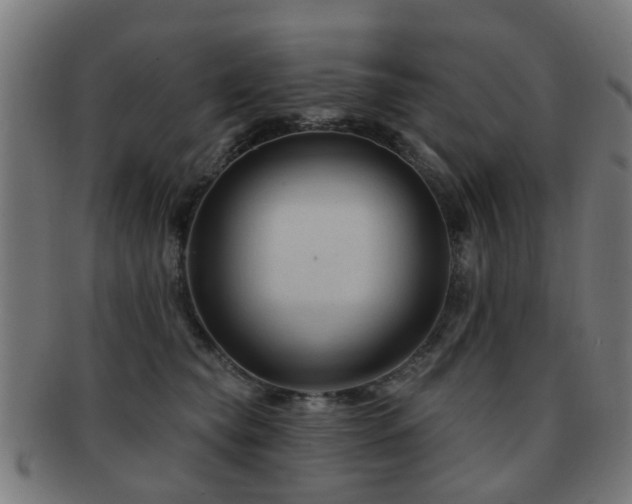 X0000091890565200709051345
