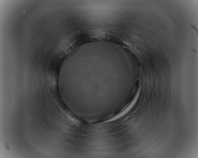 X0000091890566200709051345