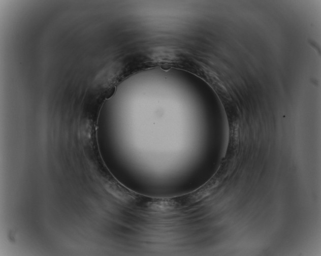 X0000091890567200709051345