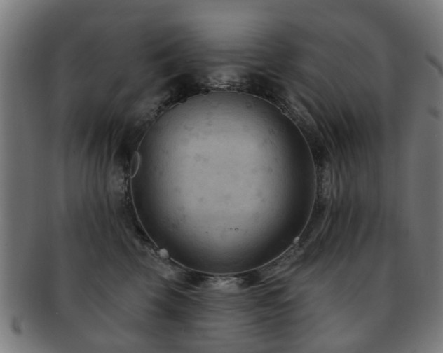 X0000091890569200709051345
