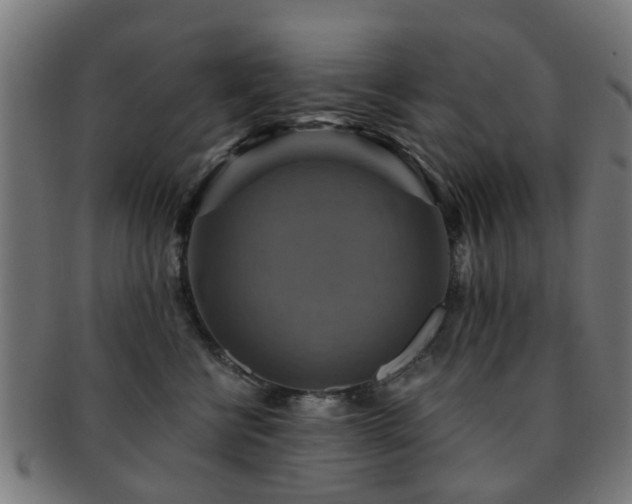X0000091890570200709051345