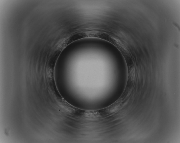 X0000091890571200709051345