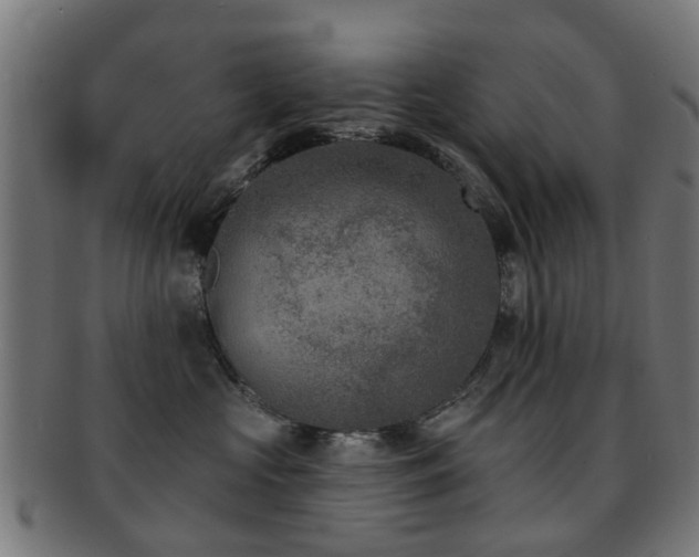 X0000091890573200709051345