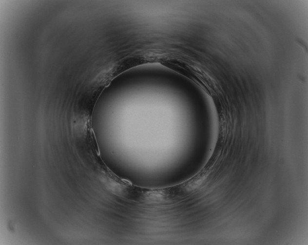 X0000091890574200709051345