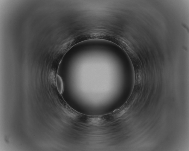 X0000091890575200709051345
