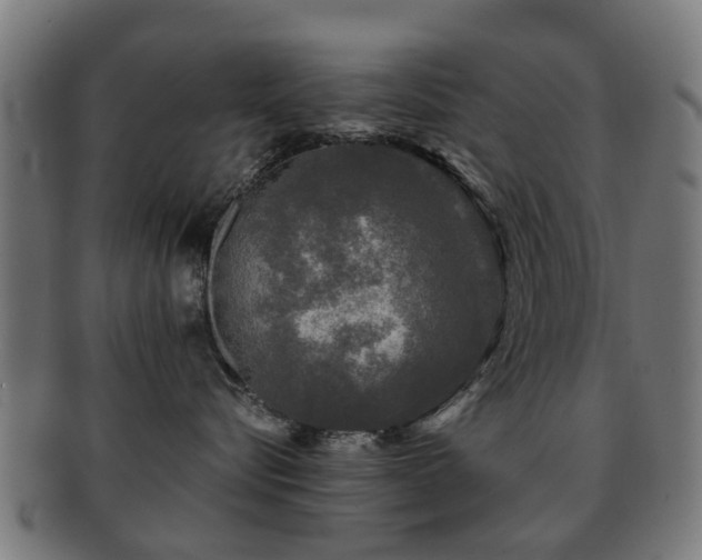X0000091890576200709051345