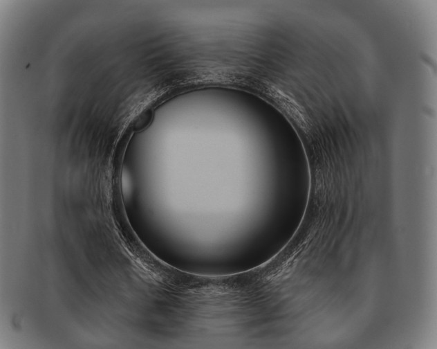 X0000091890578200709051345