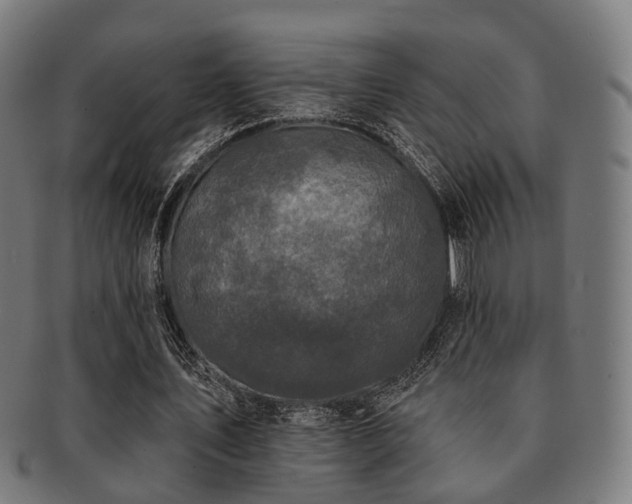 X0000091890579200709051345