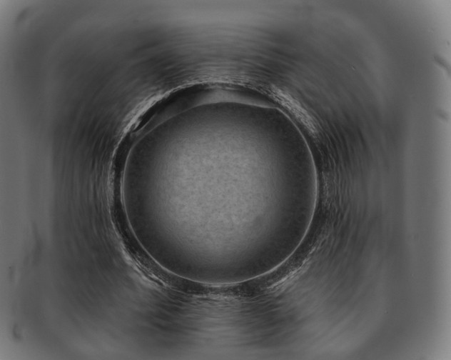 X0000091890580200709051345