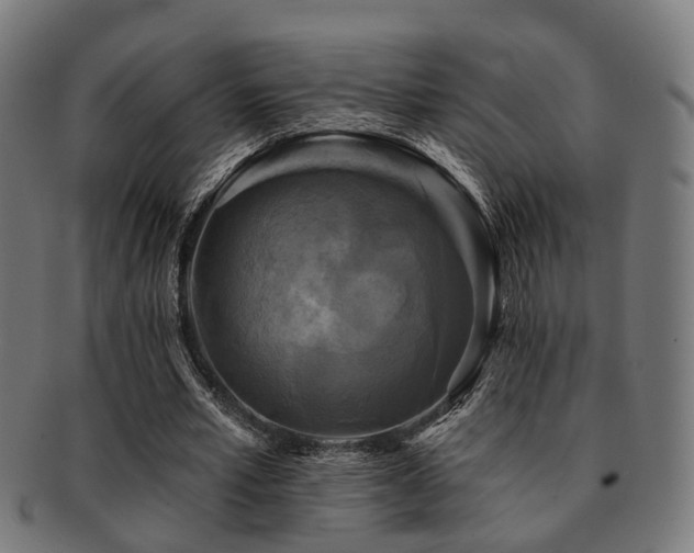 X0000091890581200709051345