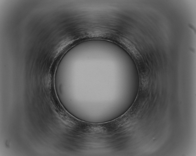 X0000091890583200709051345