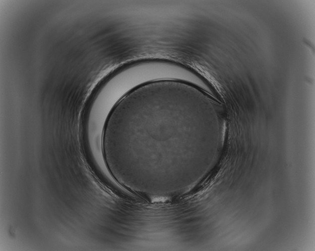 X0000091890584200709051345