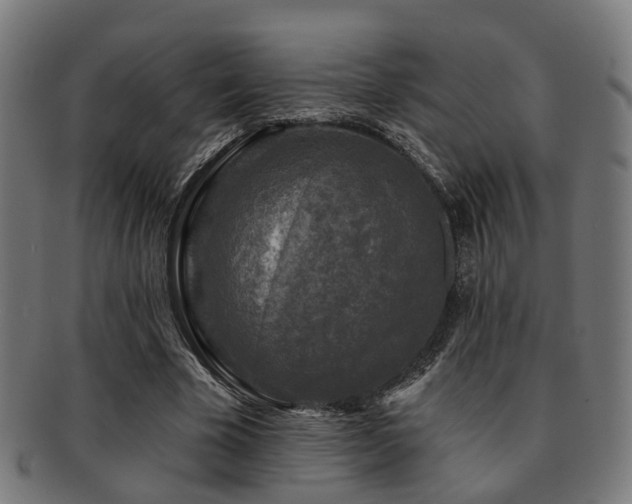 X0000091890585200709051345