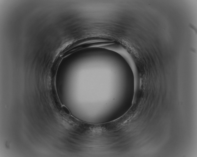 X0000091890587200709051345