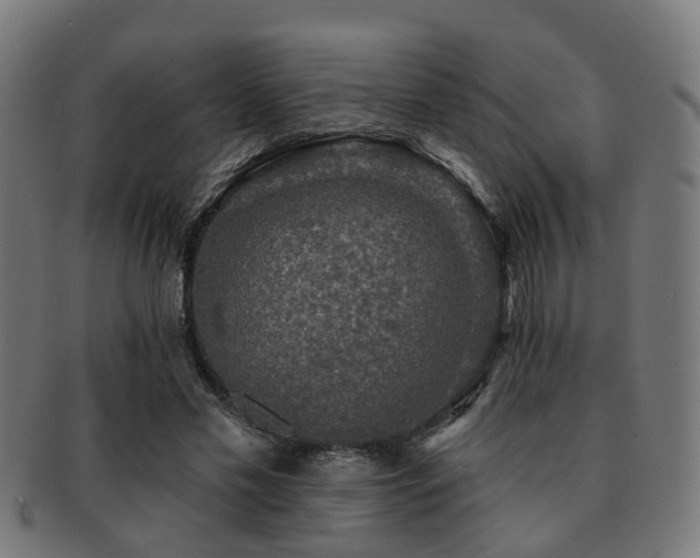 X0000091890589200709051345