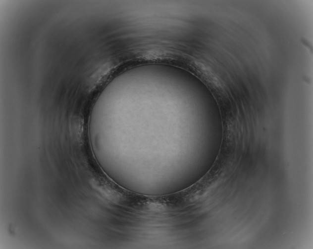 X0000091890592200709051345