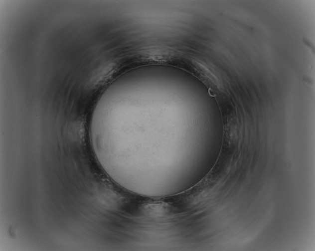 X0000091890595200709051345