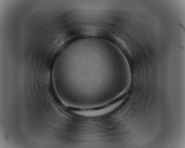 X0000091890596200709051345