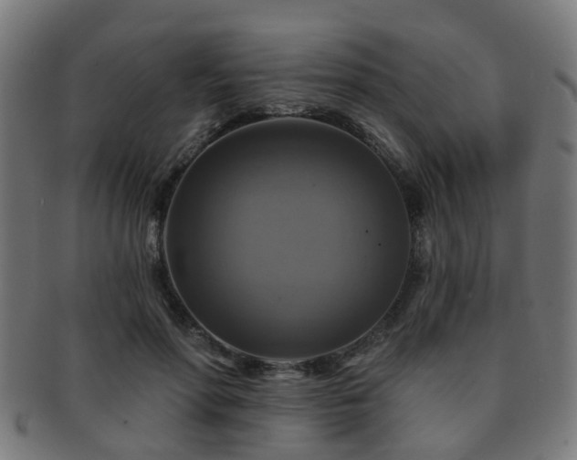 X0000091890598200709051345