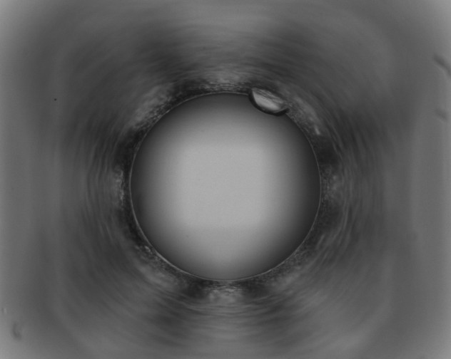 X0000091890599200709051345