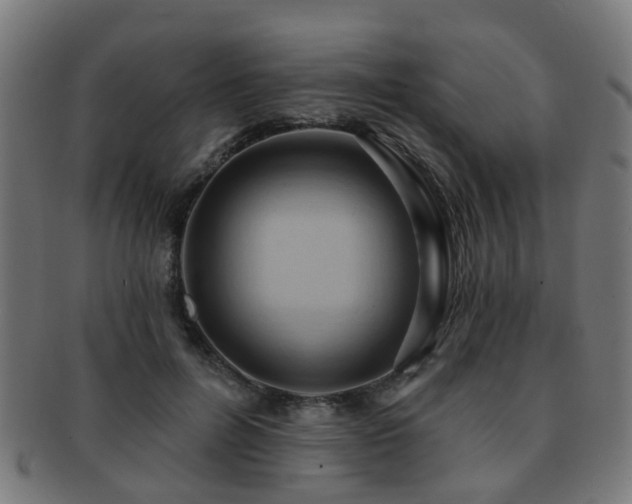X0000091890600200709051345