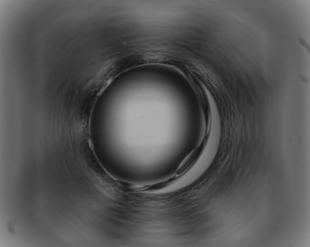 X0000091890601200709051345