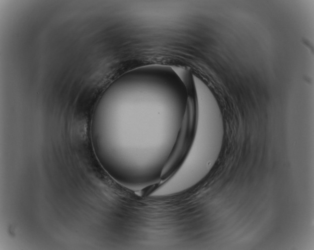 X0000091890602200709051345