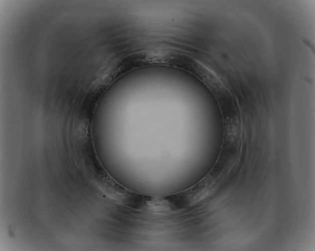 X0000091890603200709051345