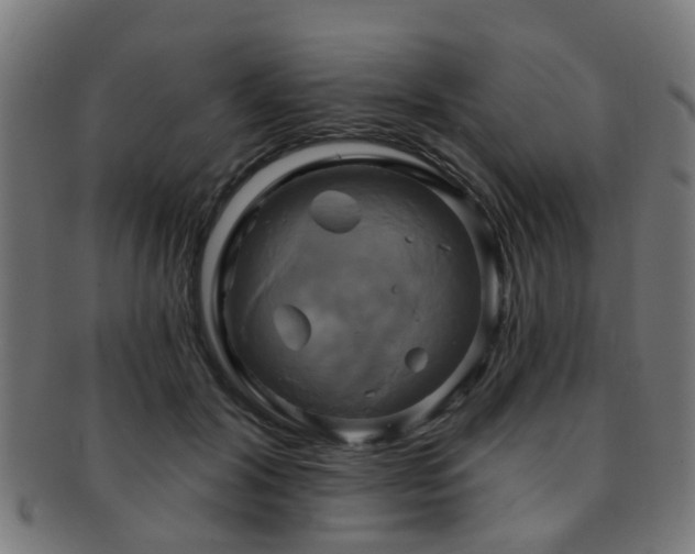 X0000091890604200709051344