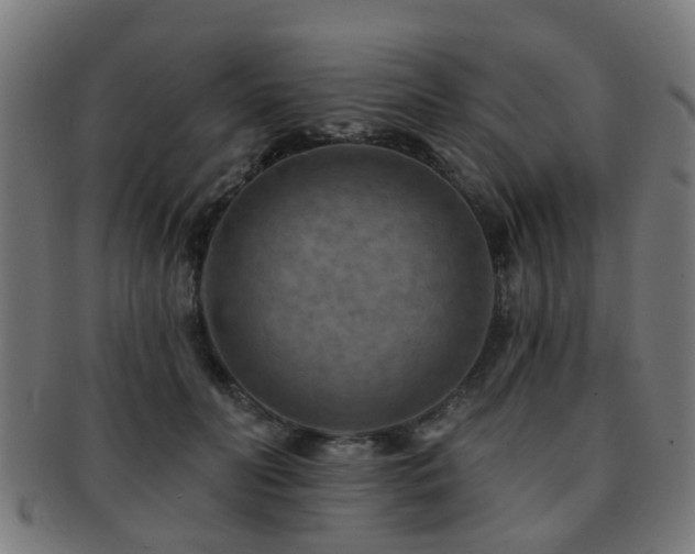 X0000091890606200709051344