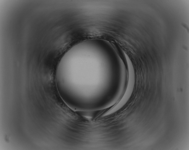 X0000091890608200709051344