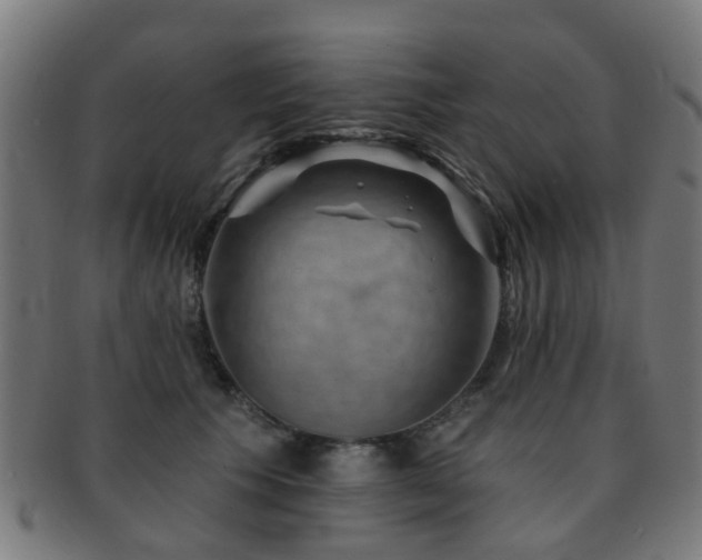 X0000091890609200709051344