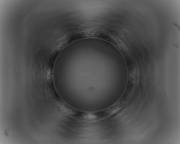 X0000091890610200709051344