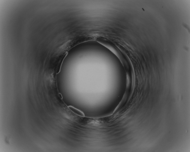 X0000091890611200709051344