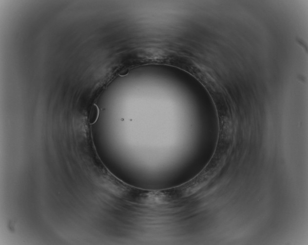 X0000091890612200709051344