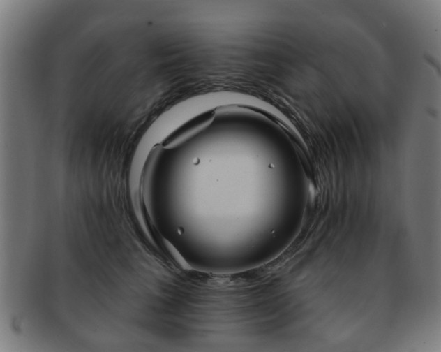 X0000091890613200709051344