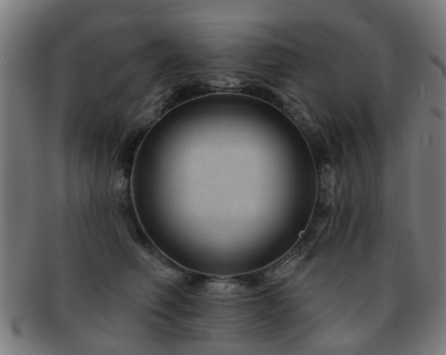 X0000091890614200709051344