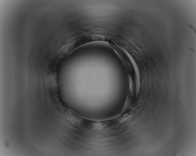 X0000091890616200709051344