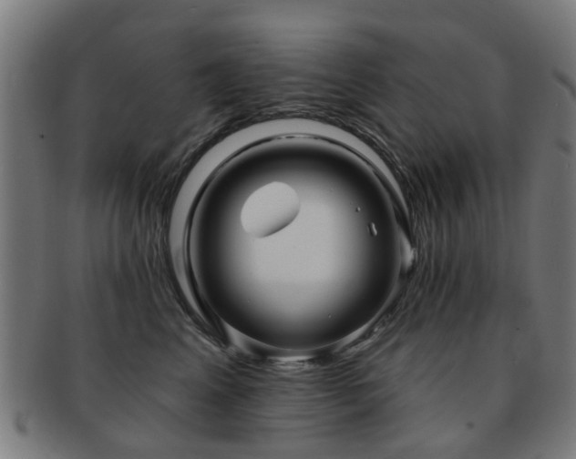 X0000091890617200709051344