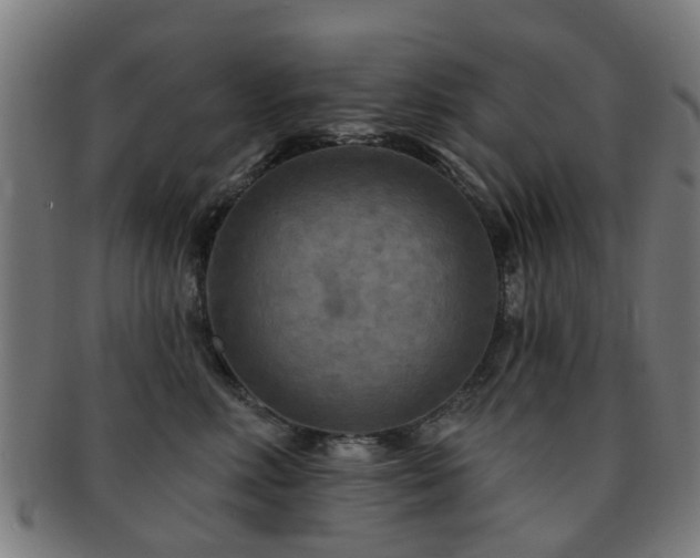 X0000091890618200709051344