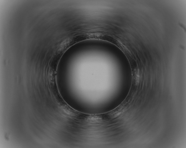 X0000091890619200709051344