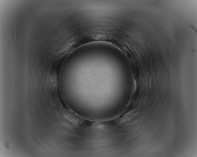X0000091890620200709051344