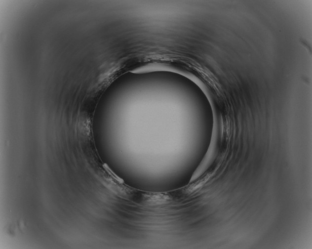 X0000091890621200709051344