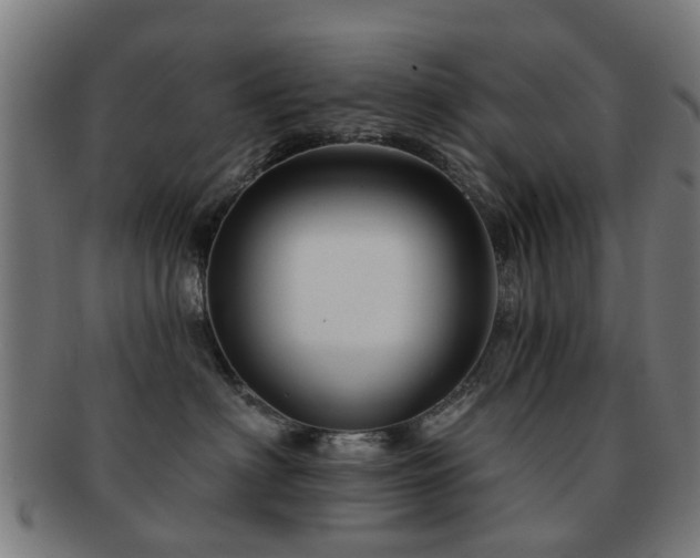 X0000091890622200709051344