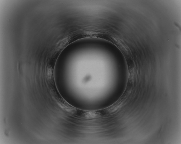 X0000091890623200709051344