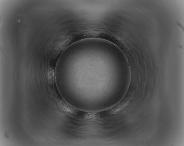 X0000091890624200709051344