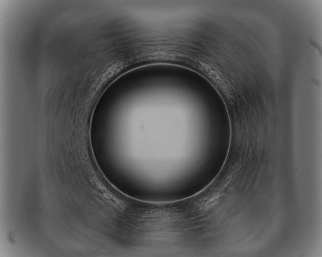 X0000091890625200709051344